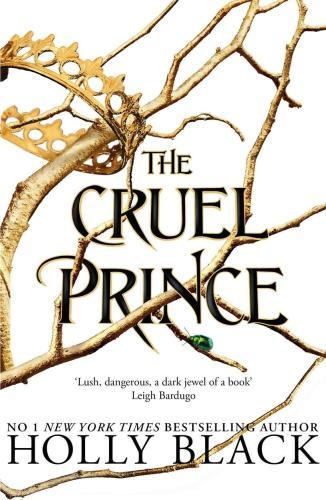 The Cruel Prince (The Folk of the Air Series Book 1)