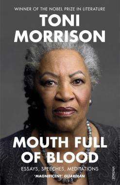 Mouth Full of Blood:Essays, Speeches, Meditations (Pb)